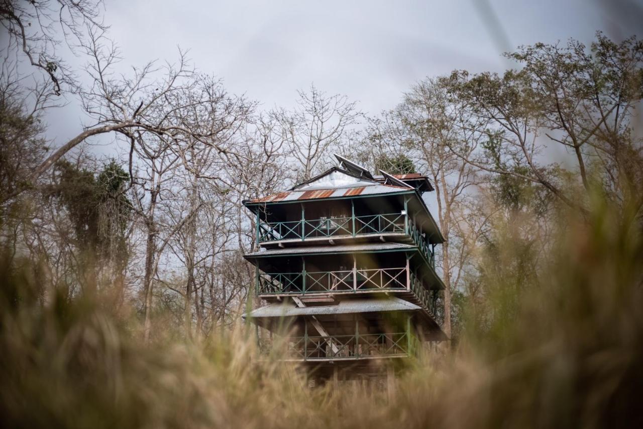 Hotel Tharu Garden, Sauraha Eksteriør bilde