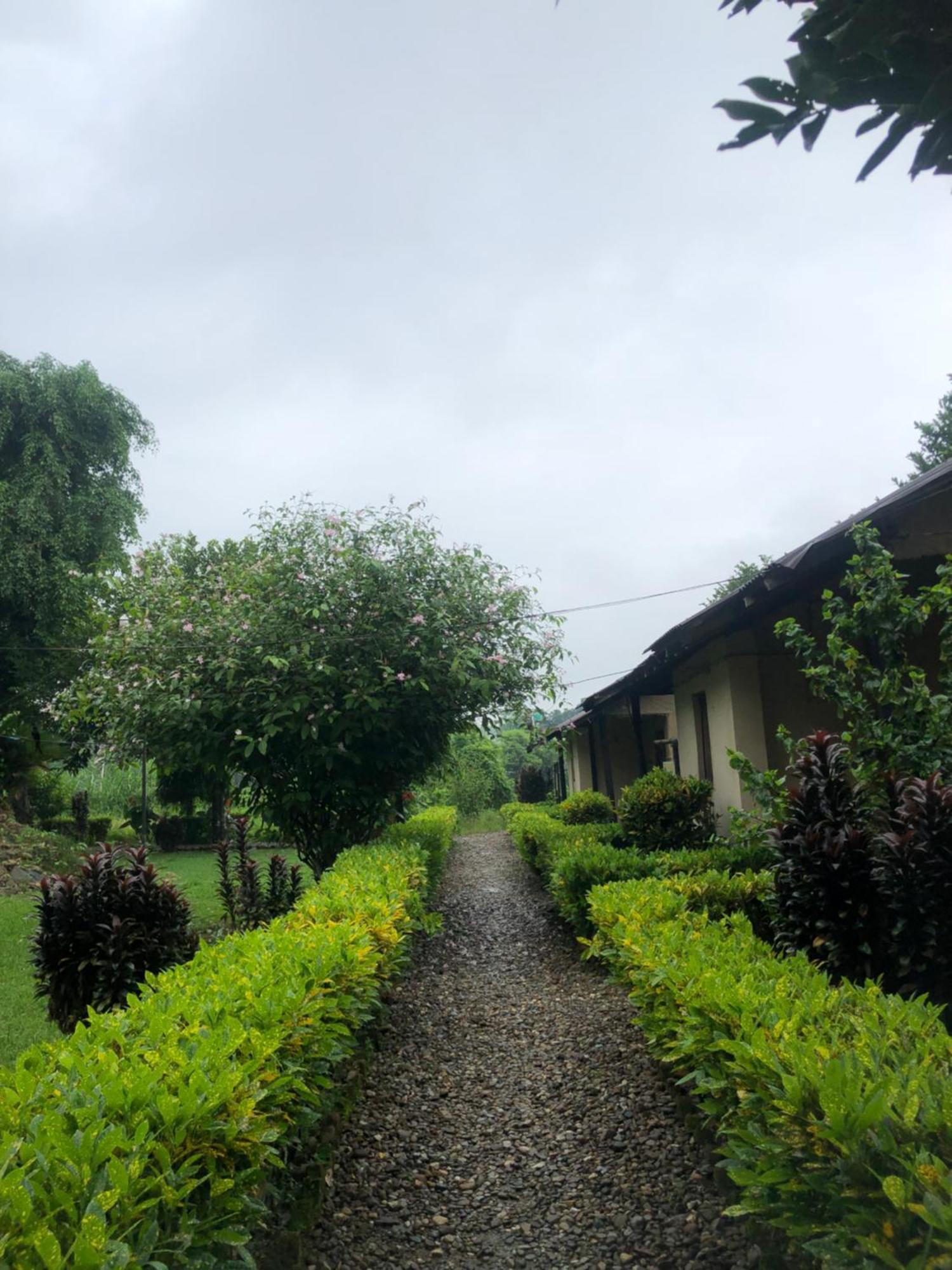 Hotel Tharu Garden, Sauraha Eksteriør bilde
